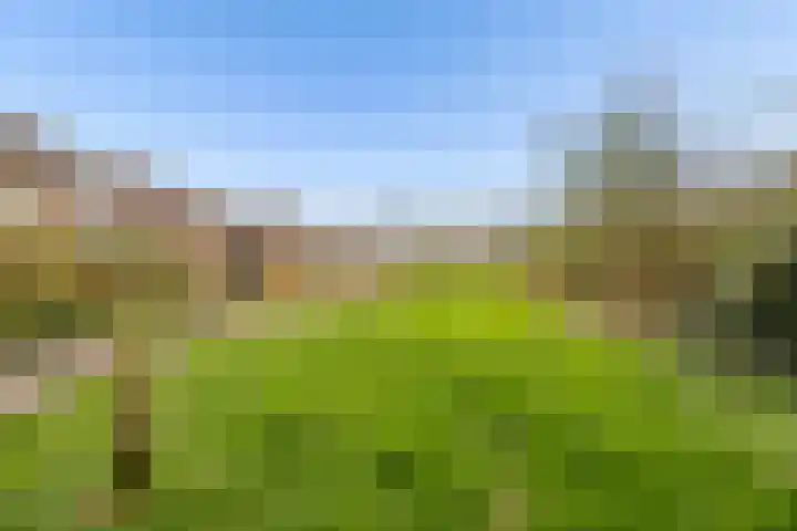 Goudsbloem 30 Odijk thumbnail 46
