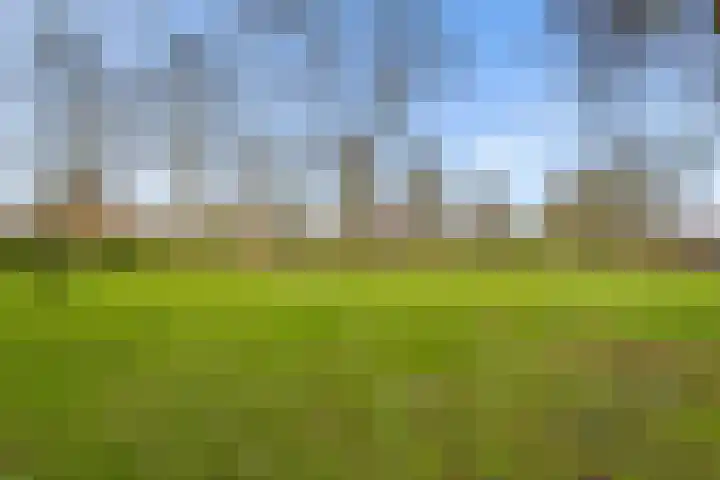 Goudsbloem 30 Odijk thumbnail 47