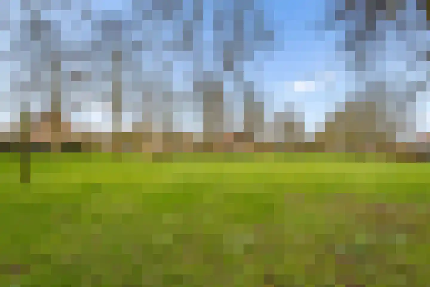 Goudsbloem 30 Odijk thumbnail 47