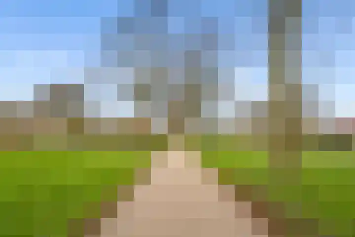 Goudsbloem 30 Odijk thumbnail 48
