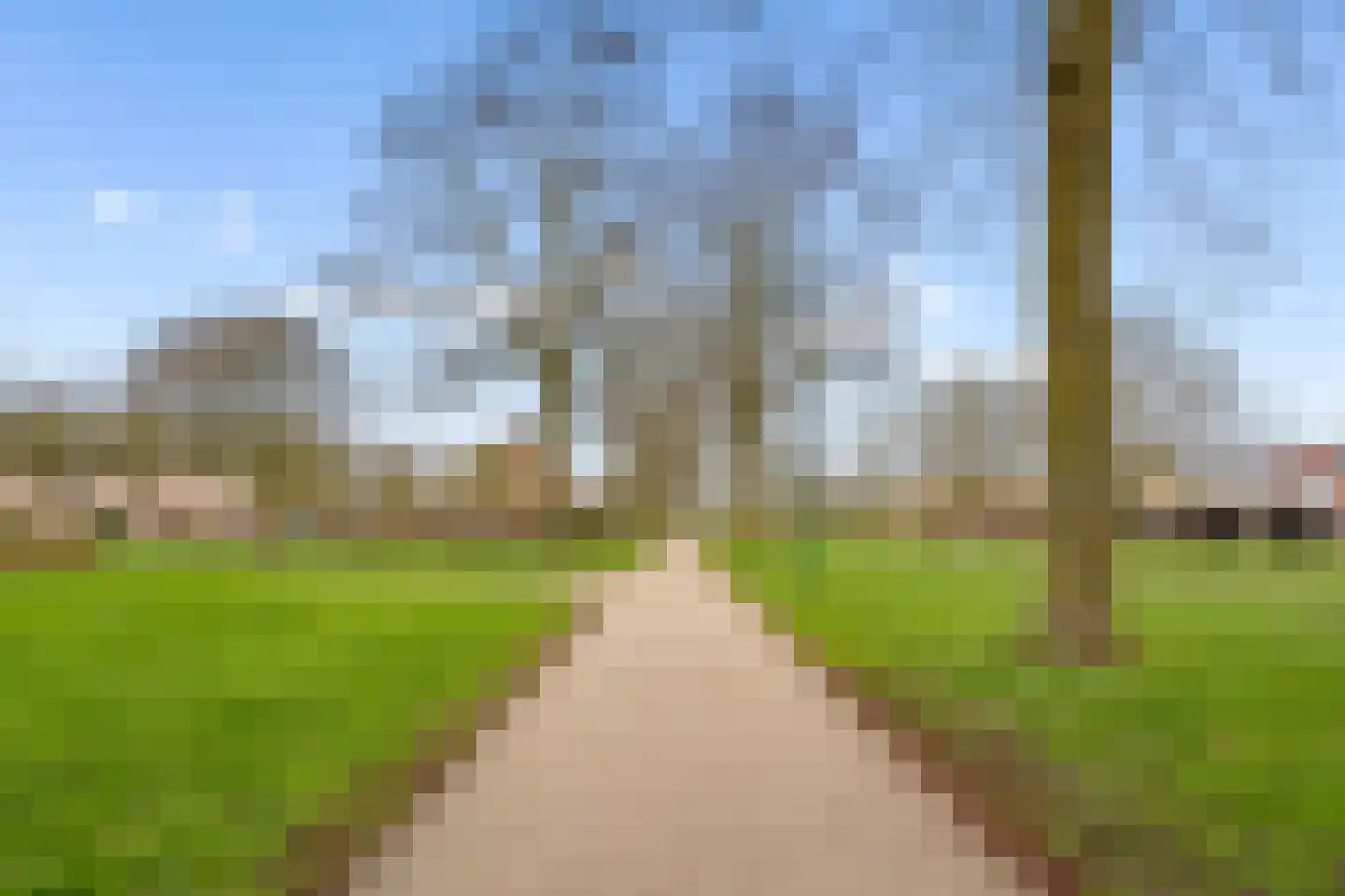 Goudsbloem 30 Odijk thumbnail 48