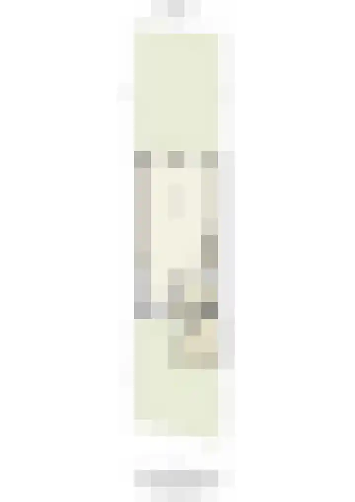 Goudsbloem 30 Odijk thumbnail 49