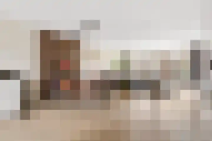 Goudsbloem 30 Odijk thumbnail 5