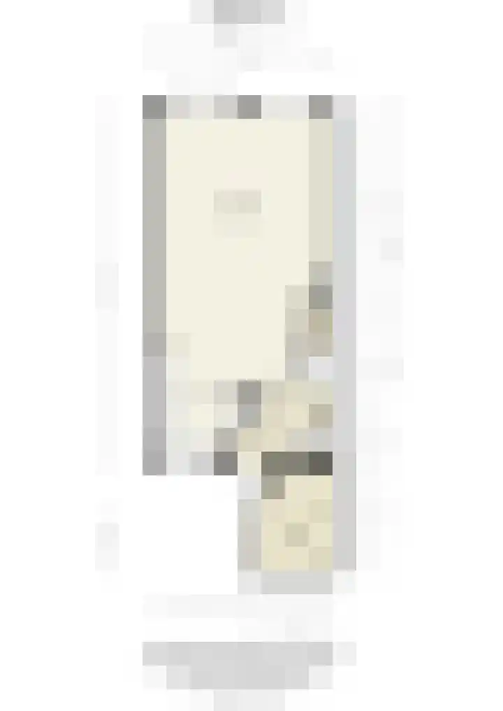Goudsbloem 30 Odijk thumbnail 50