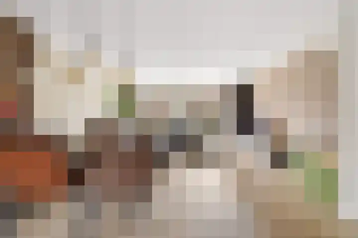 Goudsbloem 30 Odijk thumbnail 6
