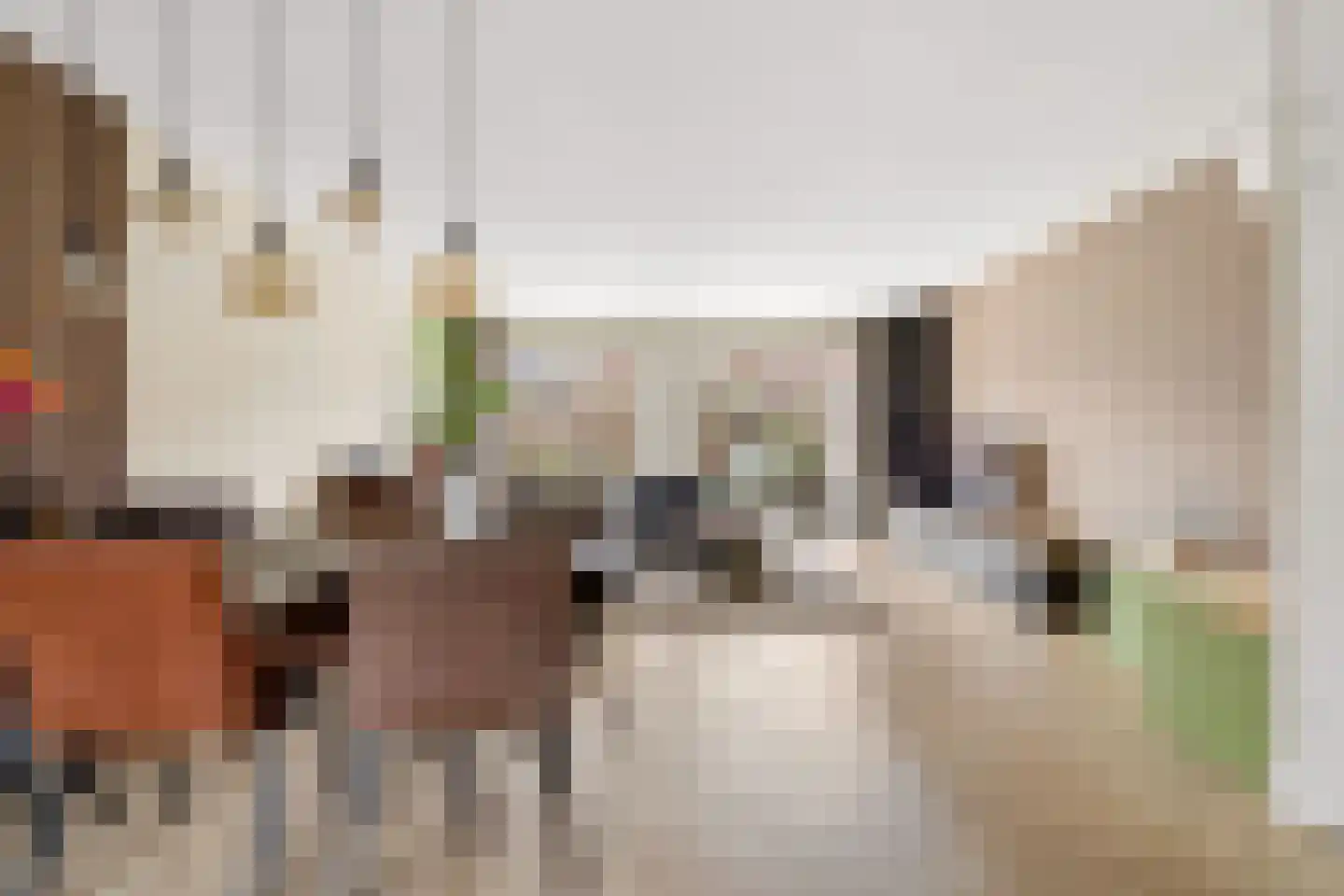 Goudsbloem 30 Odijk thumbnail 6