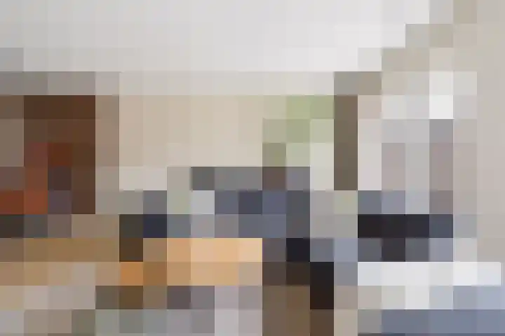 Goudsbloem 30 Odijk thumbnail 7