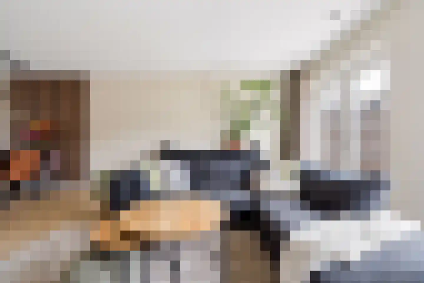 Goudsbloem 30 Odijk thumbnail 7