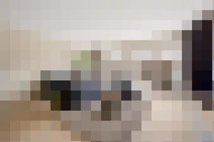 Goudsbloem 30 Odijk thumbnail 8