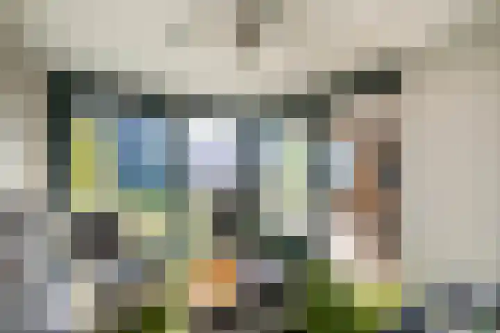Goudsbloem 4 Berghem thumbnail 12