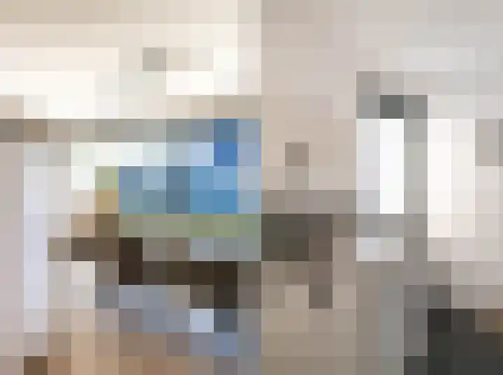 Goudsbloem 4 Berghem thumbnail 14