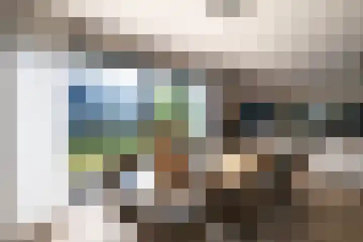 Goudsbloem 4 Berghem thumbnail 15