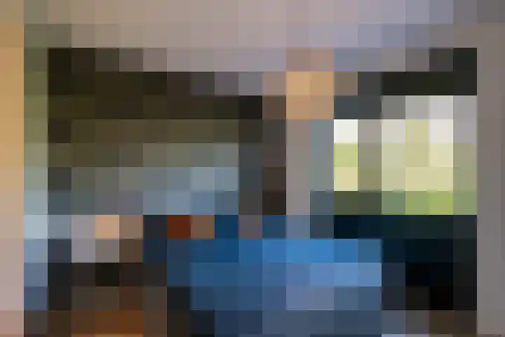 Goudsbloem 4 Berghem thumbnail 16
