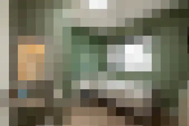 Goudsbloem 4 Berghem thumbnail 18