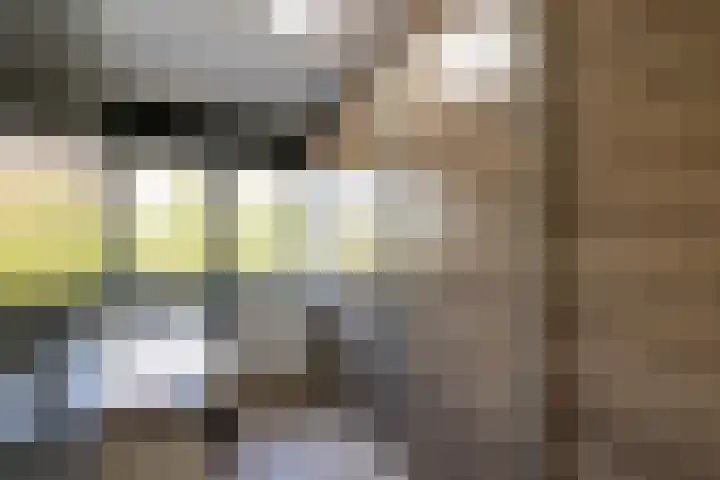 Goudsbloem 4 Berghem thumbnail 19
