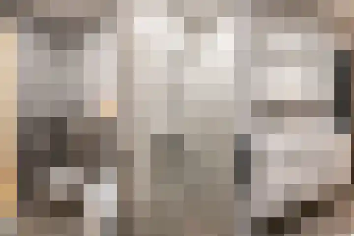 Goudsbloem 4 Berghem thumbnail 21