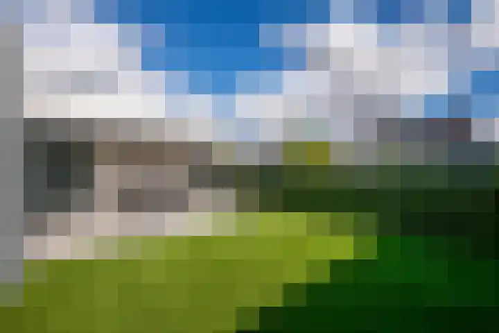 Goudsbloem 4 Berghem thumbnail 22