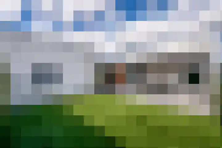 Goudsbloem 4 Berghem thumbnail 23
