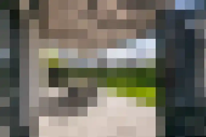 Goudsbloem 4 Berghem thumbnail 25