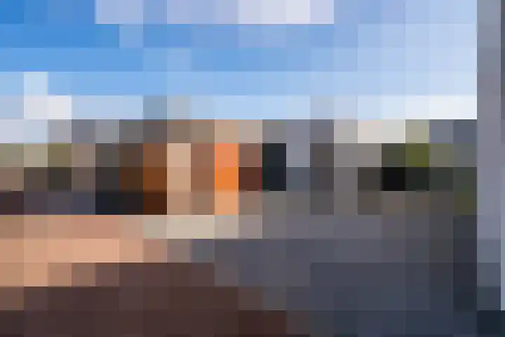 Goudsbloem 4 Berghem thumbnail 26
