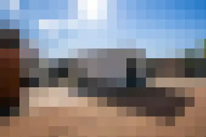 Goudsbloem 4 Berghem thumbnail 27