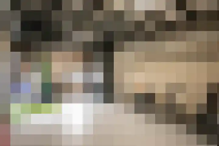 Goudsbloem 4 Berghem thumbnail 28