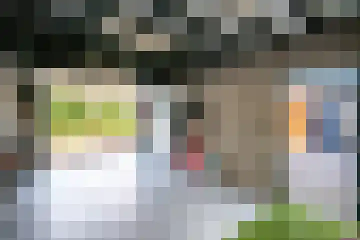 Goudsbloem 4 Berghem thumbnail 29