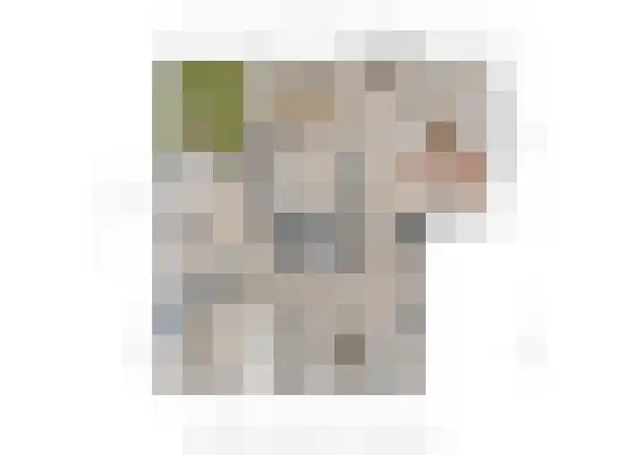 Goudsbloem 4 Berghem thumbnail 32