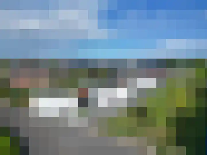 Goudsbloem 4 Berghem thumbnail 5