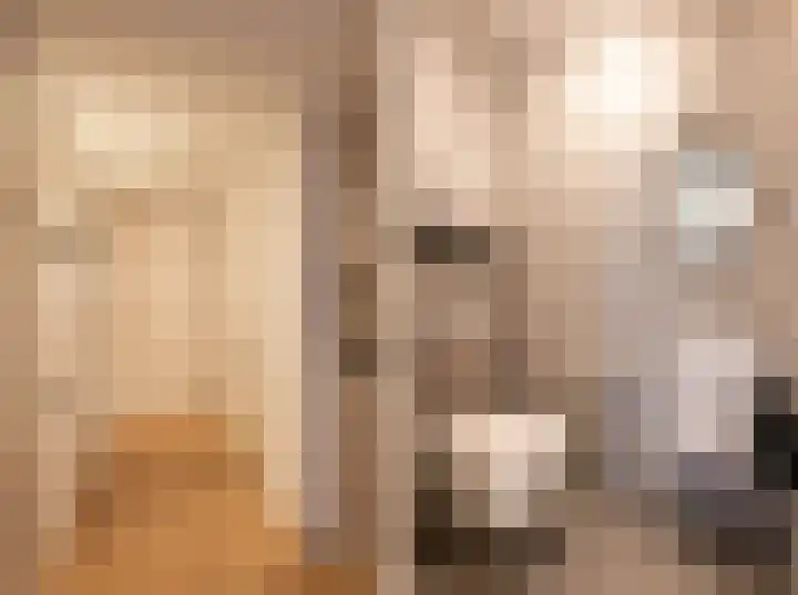Goudsbloem 4 Berghem thumbnail 6