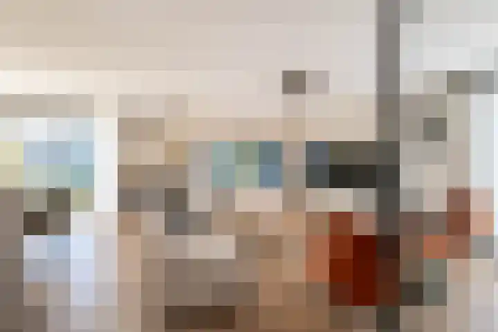 Goudsbloem 4 Berghem thumbnail 7