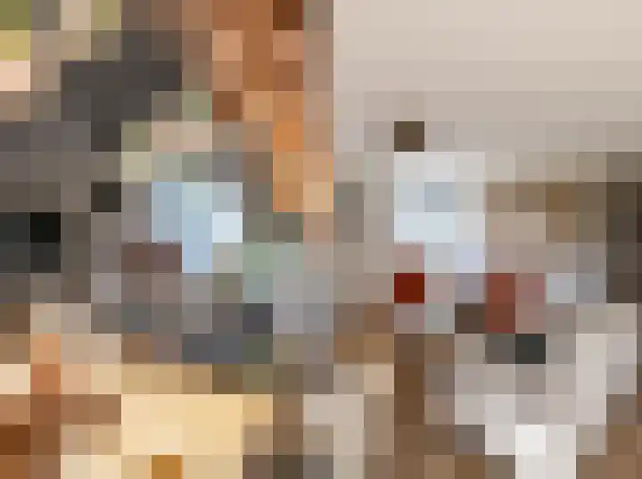 Goudsbloem 4 Berghem thumbnail 9