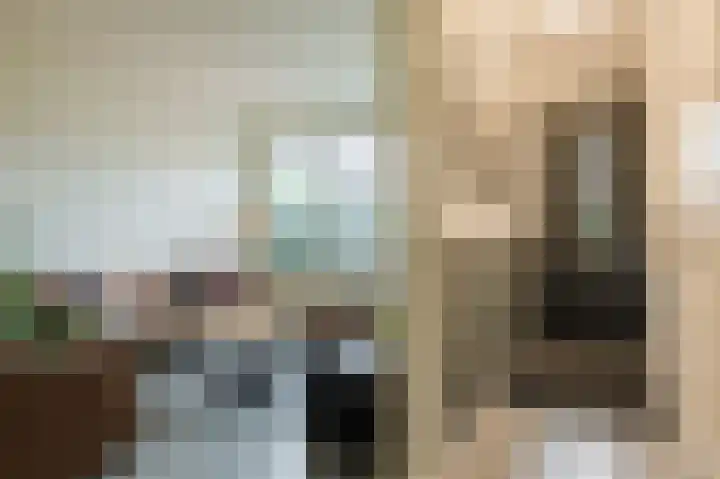 Goudsbloem 5 Bodegraven thumbnail 11