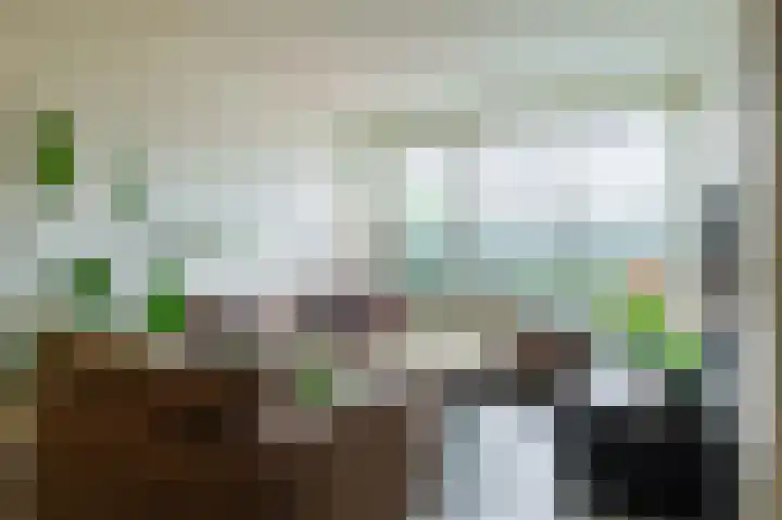 Goudsbloem 5 Bodegraven thumbnail 12