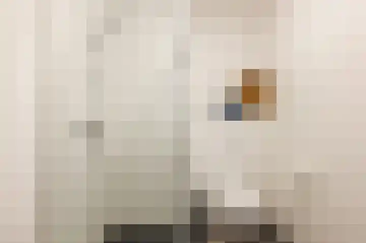 Goudsbloem 5 Bodegraven thumbnail 31