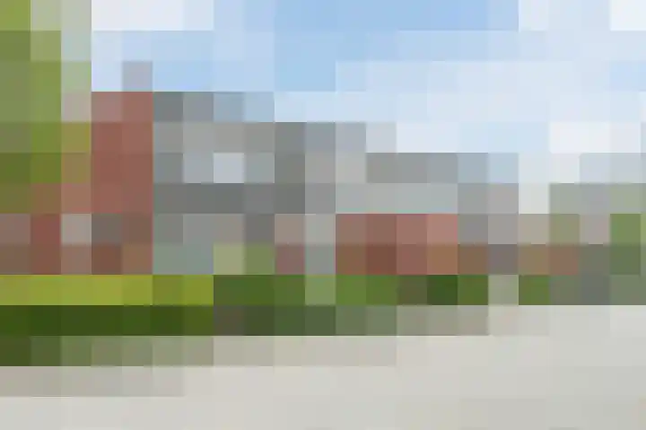 Goudsbloem 5 Bodegraven thumbnail 33
