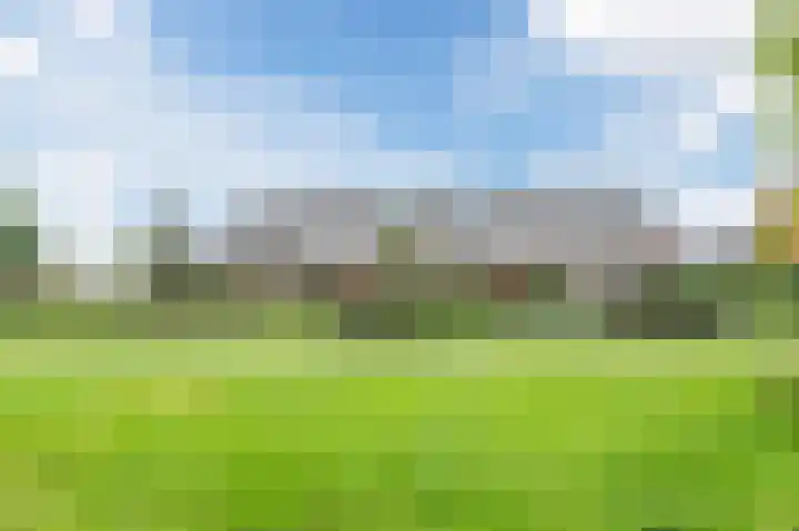 Goudsbloem 5 Bodegraven thumbnail 34