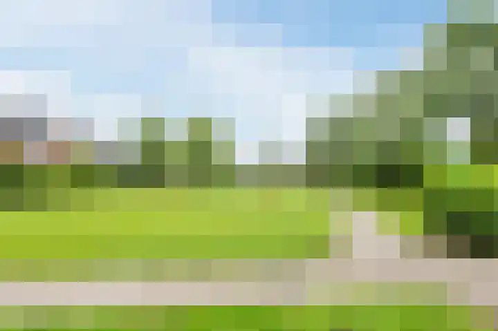 Goudsbloem 5 Bodegraven thumbnail 35