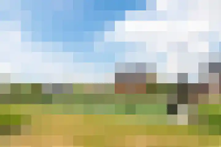 Goudsbloem 5 Bodegraven thumbnail 36