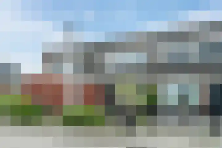 Goudsbloem 5 Bodegraven thumbnail 41