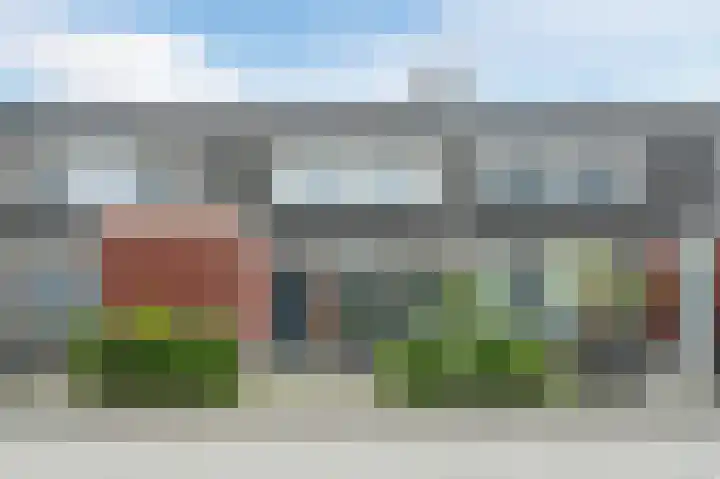 Goudsbloem 5 Bodegraven thumbnail 6