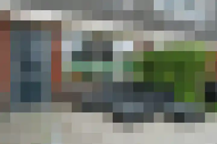 Goudsbloem 5 Bodegraven thumbnail 7