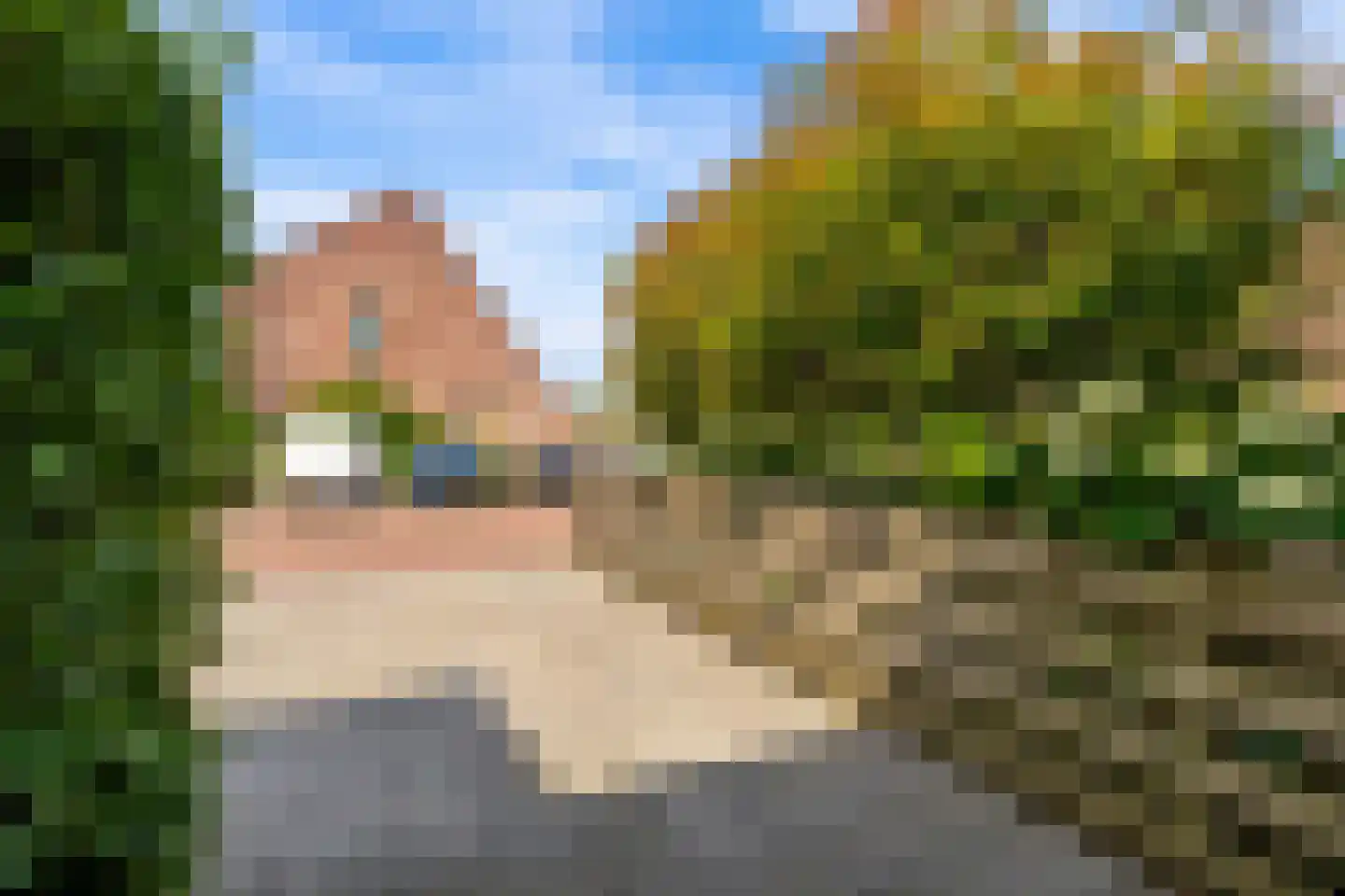 Goudsbloem 54 Odijk thumbnail 10