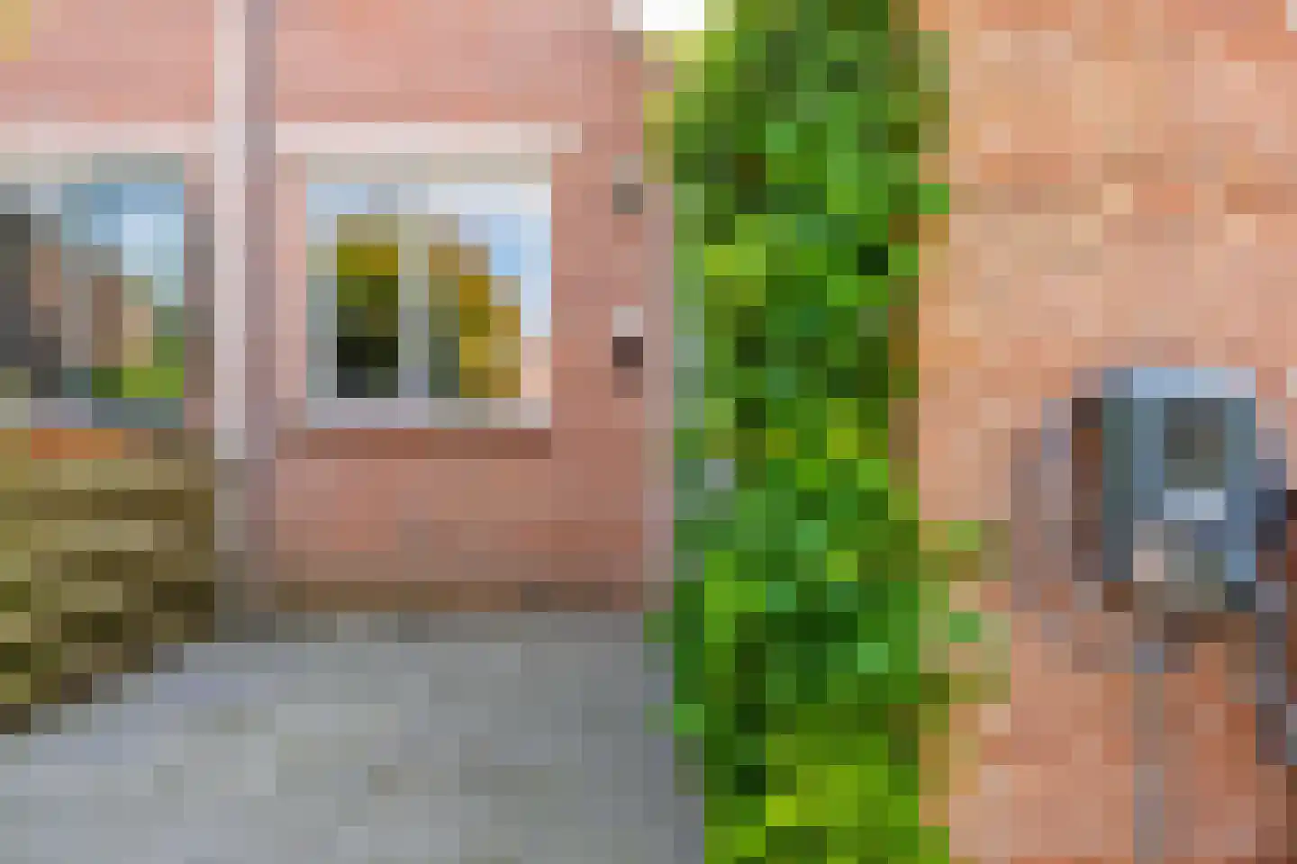 Goudsbloem 54 Odijk thumbnail 11