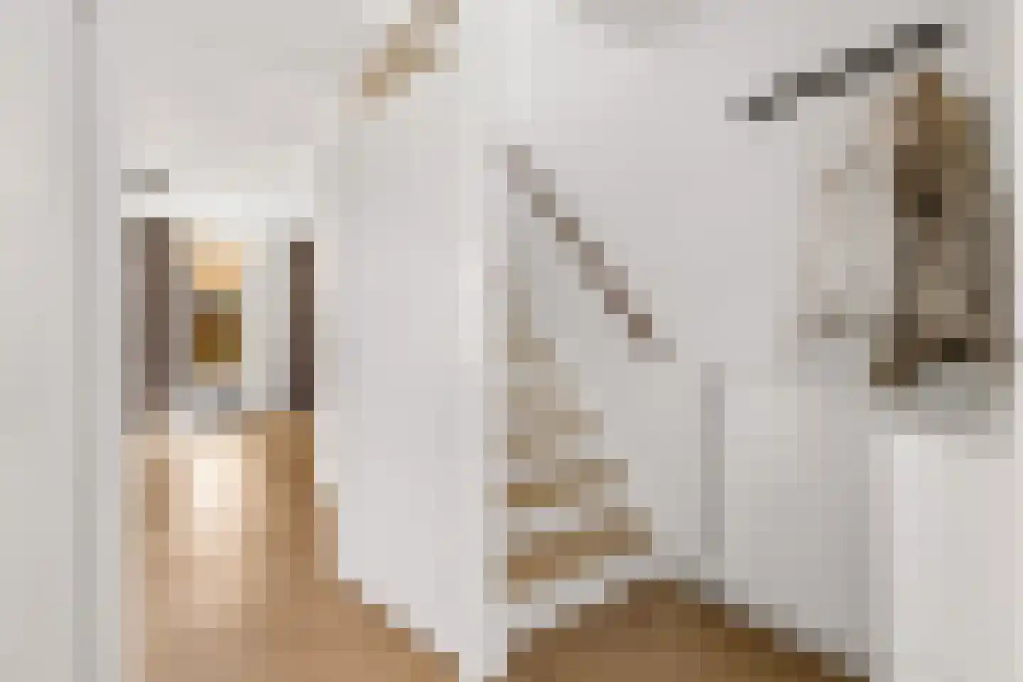 Goudsbloem 54 Odijk thumbnail 12