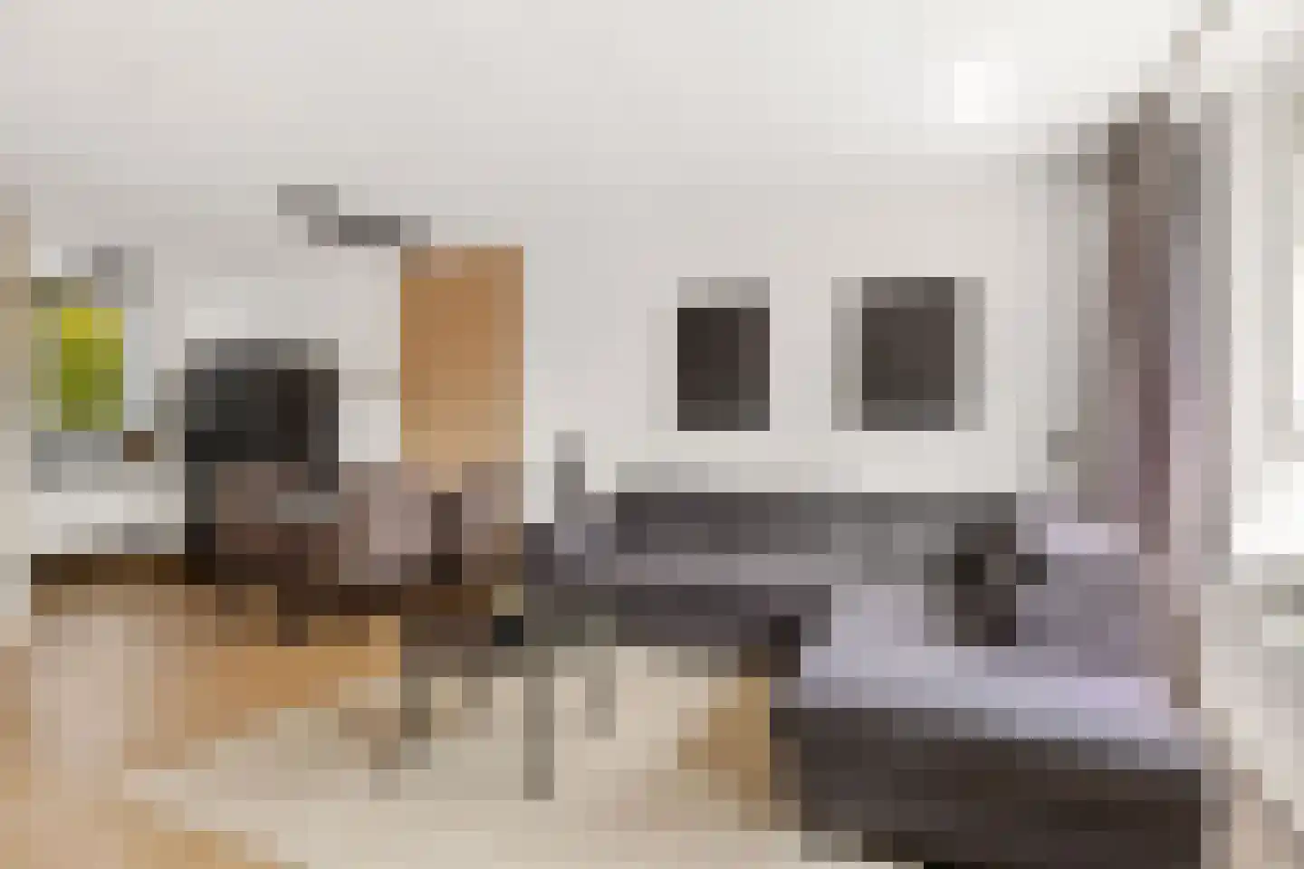Goudsbloem 54 Odijk thumbnail 22