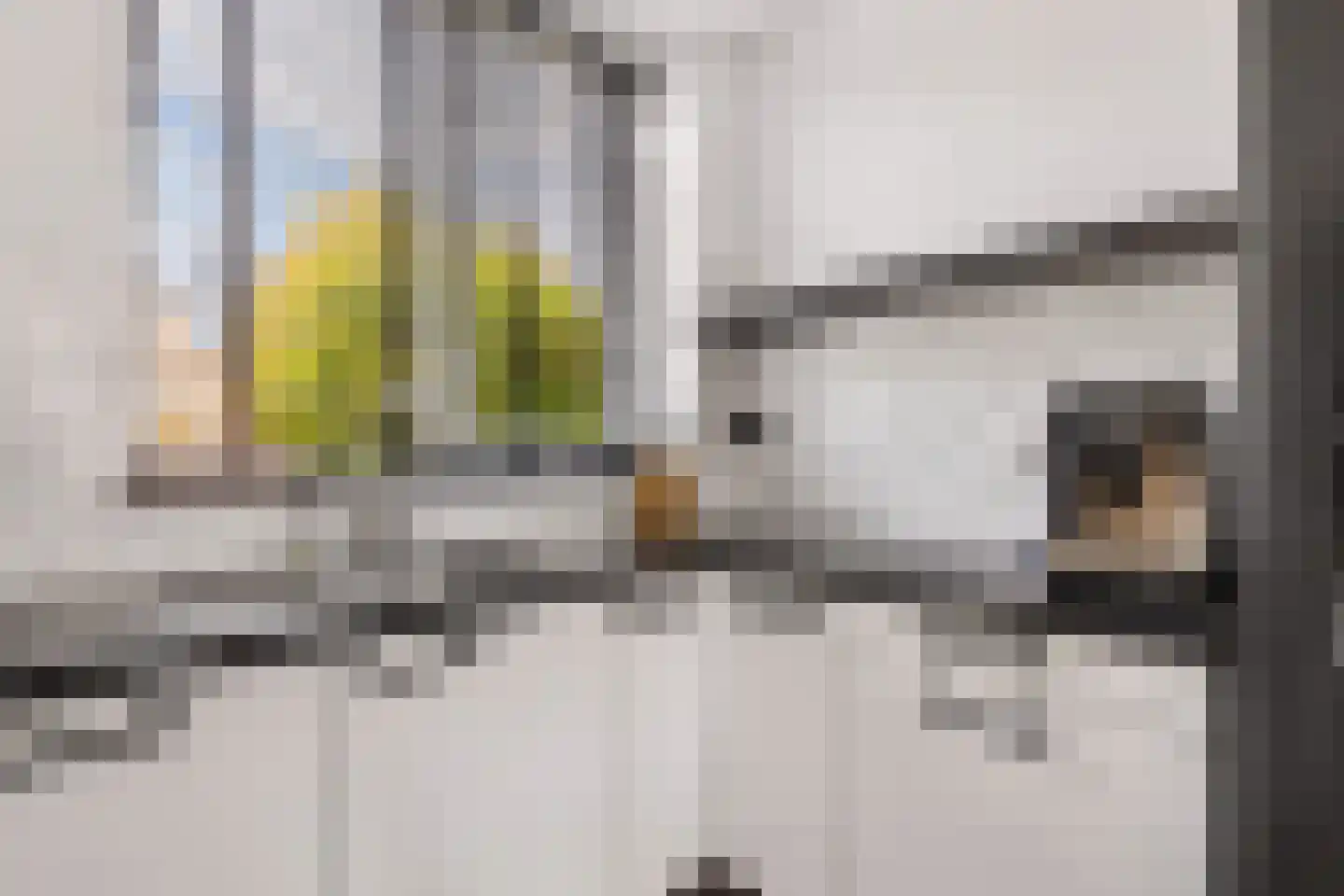 Goudsbloem 54 Odijk thumbnail 29
