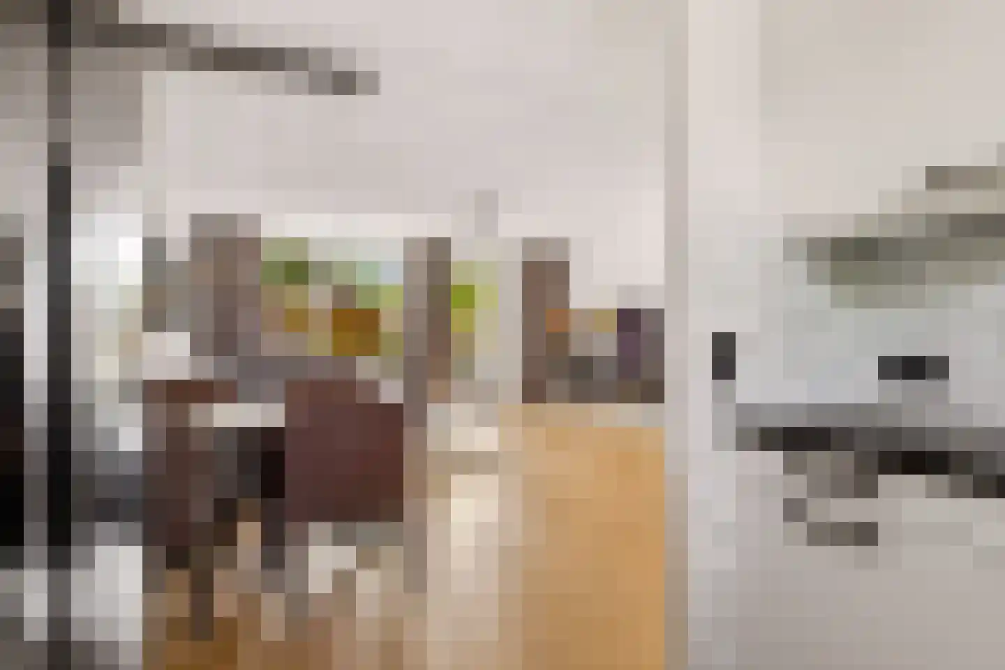 Goudsbloem 54 Odijk thumbnail 31