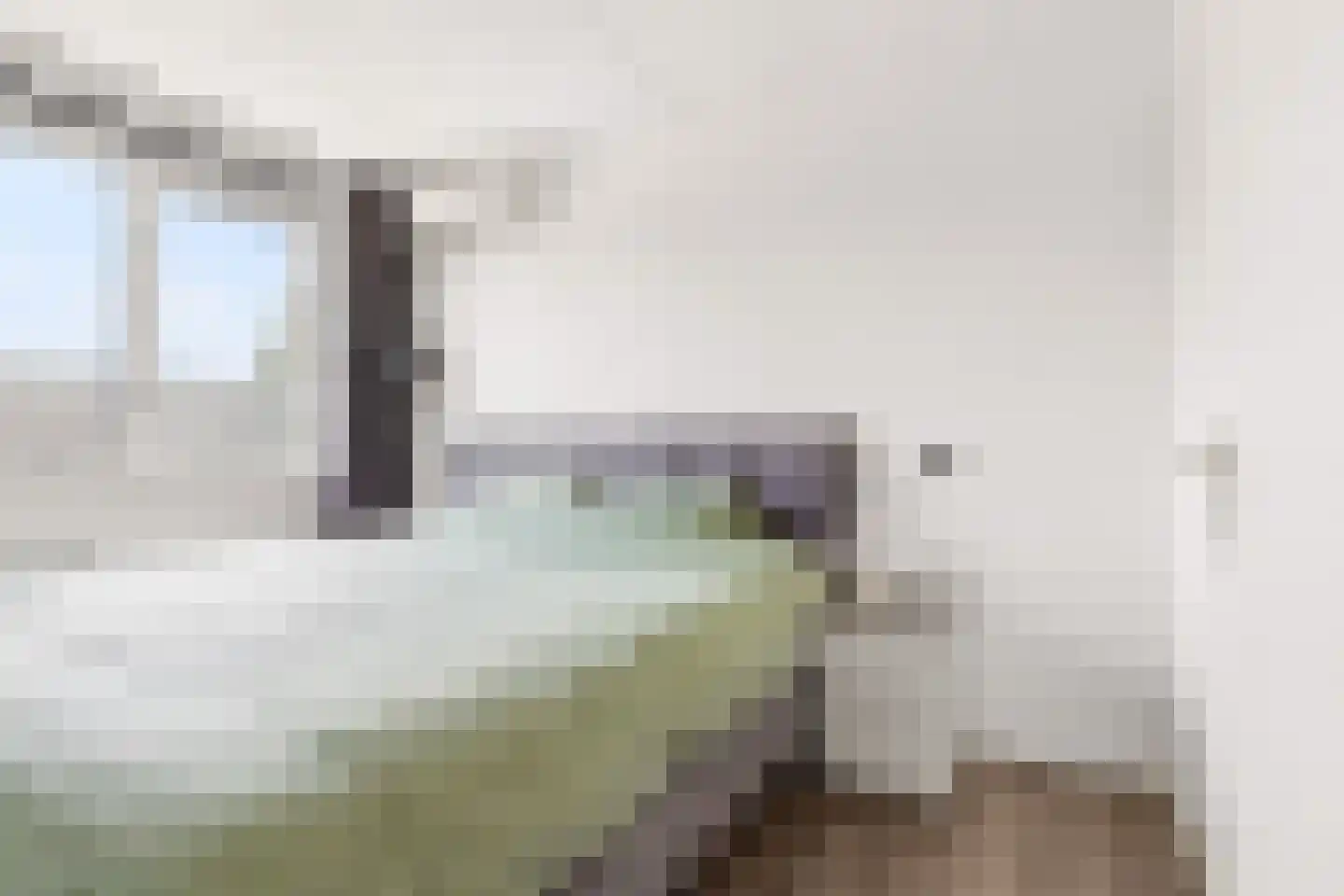Goudsbloem 54 Odijk thumbnail 37
