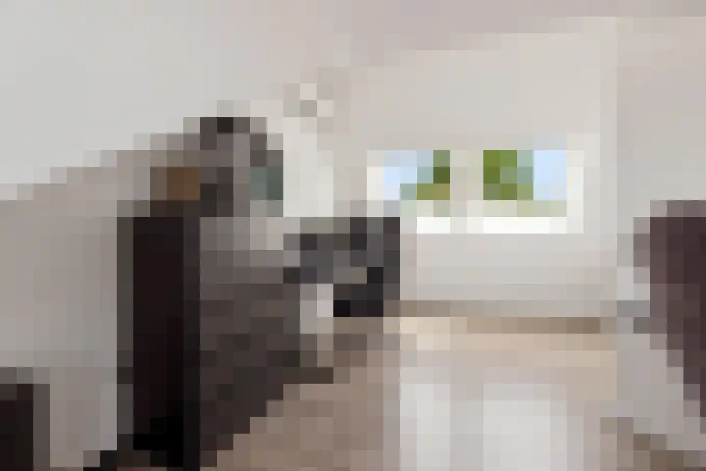 Goudsbloem 54 Odijk thumbnail 48